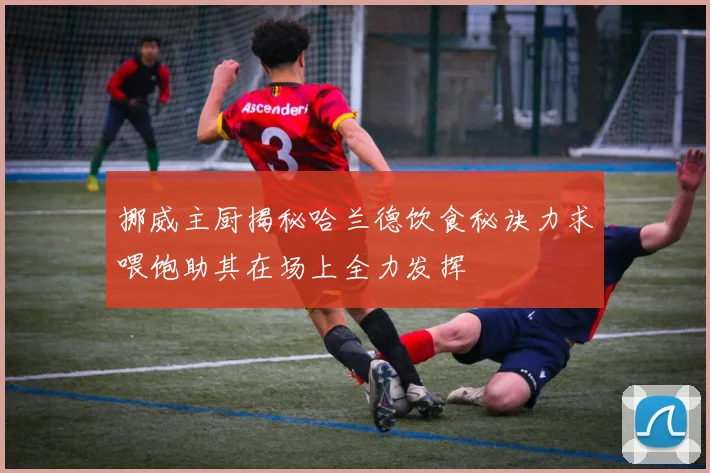 挪威主厨揭秘哈兰德饮食秘诀力求喂饱助其在场上全力发挥