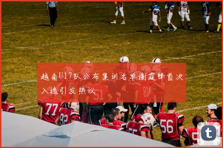 越南U17队公布集训名单谢霆锋首次入选引发热议